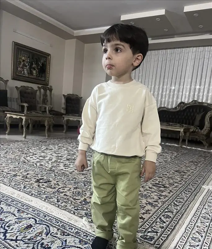 دورس بیسیک شیری